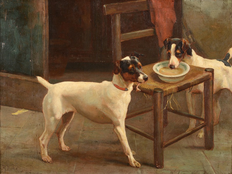 A pair of Jack Russell terriers by Alfred Duke, entitled Keeping Watch