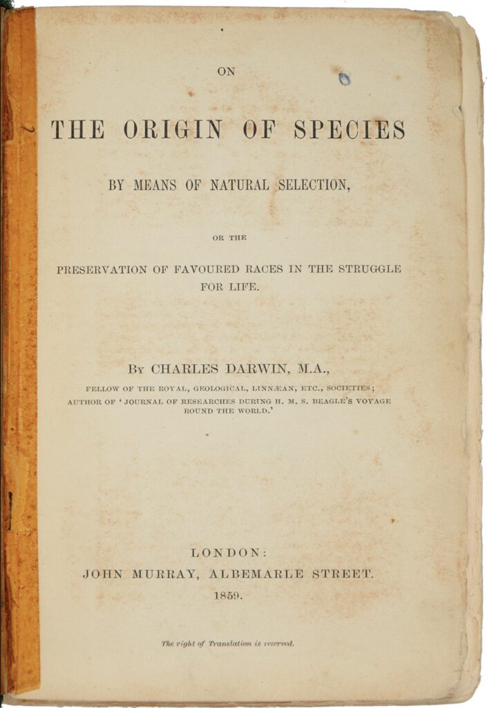 First Edition On The Origin of Species sells for thousands - Antique ...