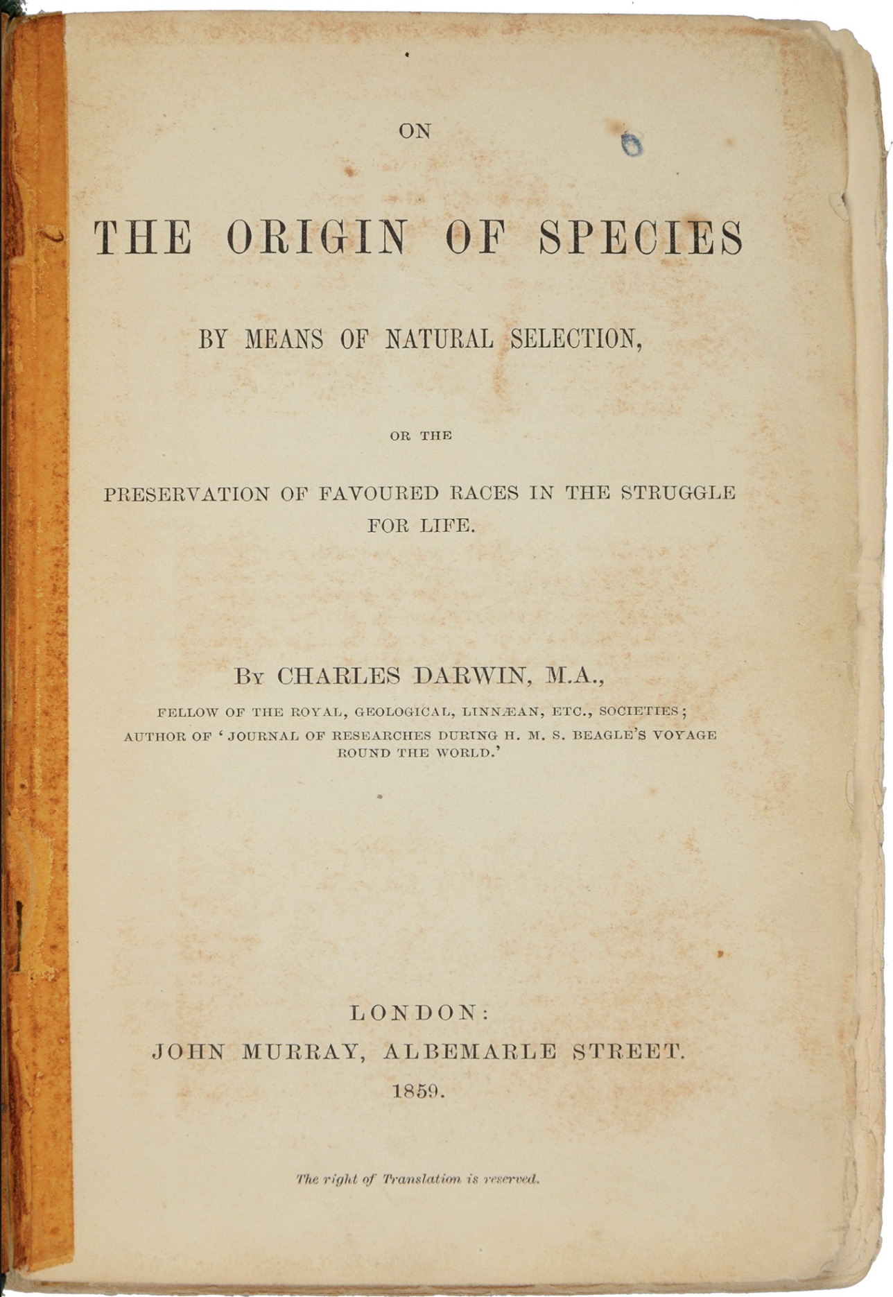 A First Edition The Origin of Species by Charles Darwin