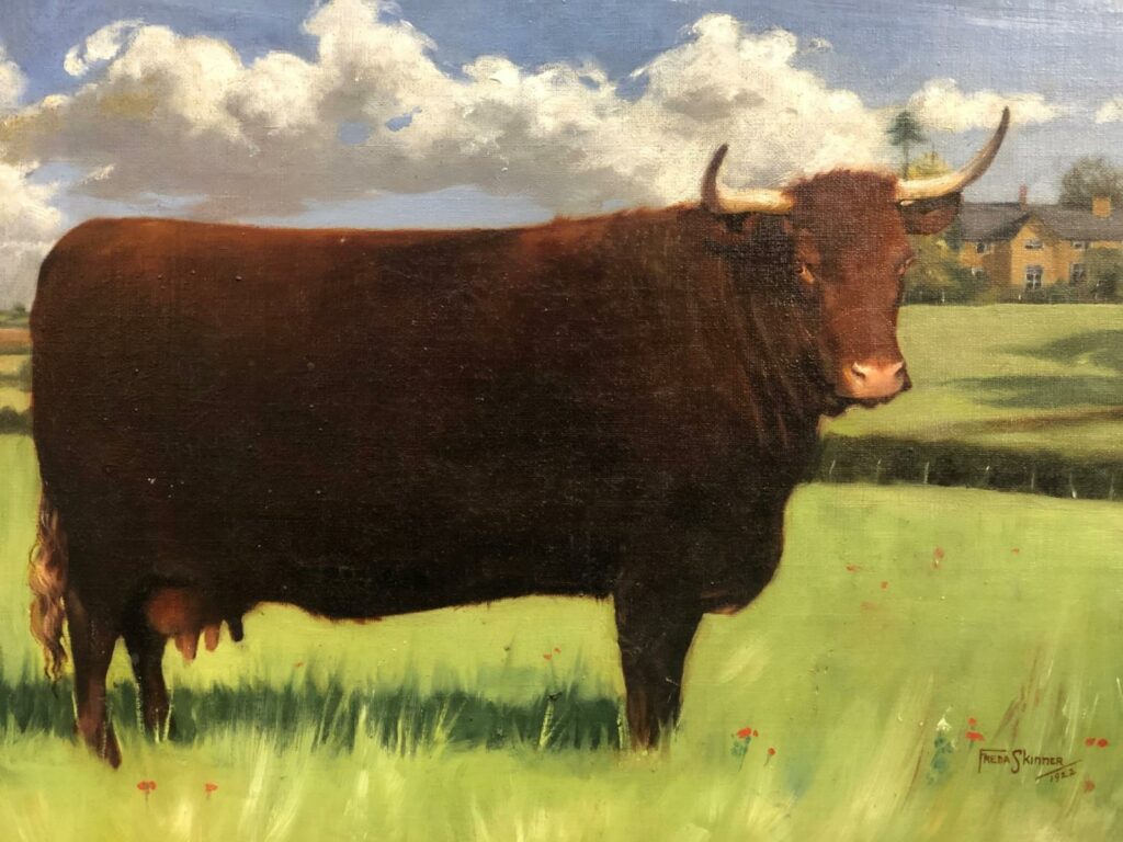 one of the prized pair of Devon Red Cattle estimated at £300-500 going under the Charterhouse hammer in their January picture auction