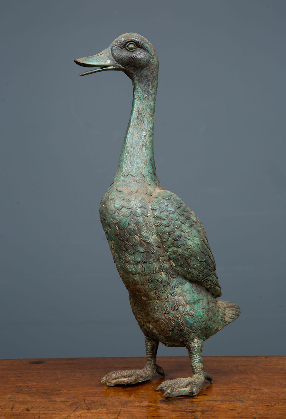 Bronze Indian runner duck