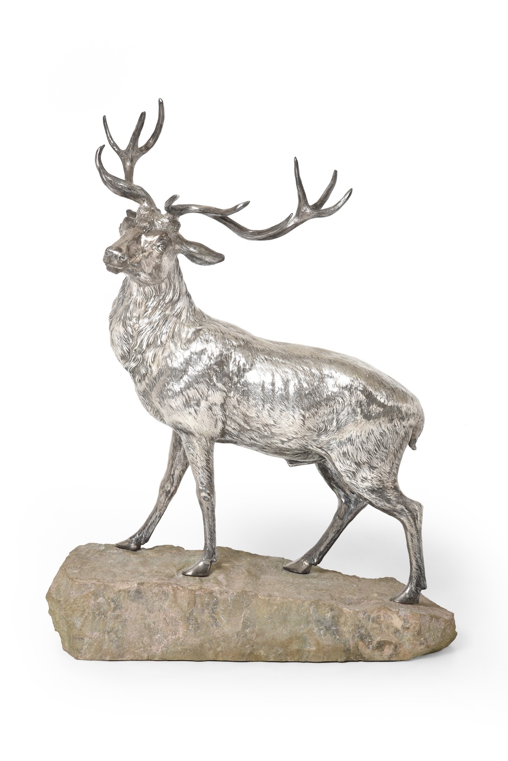 silver stag