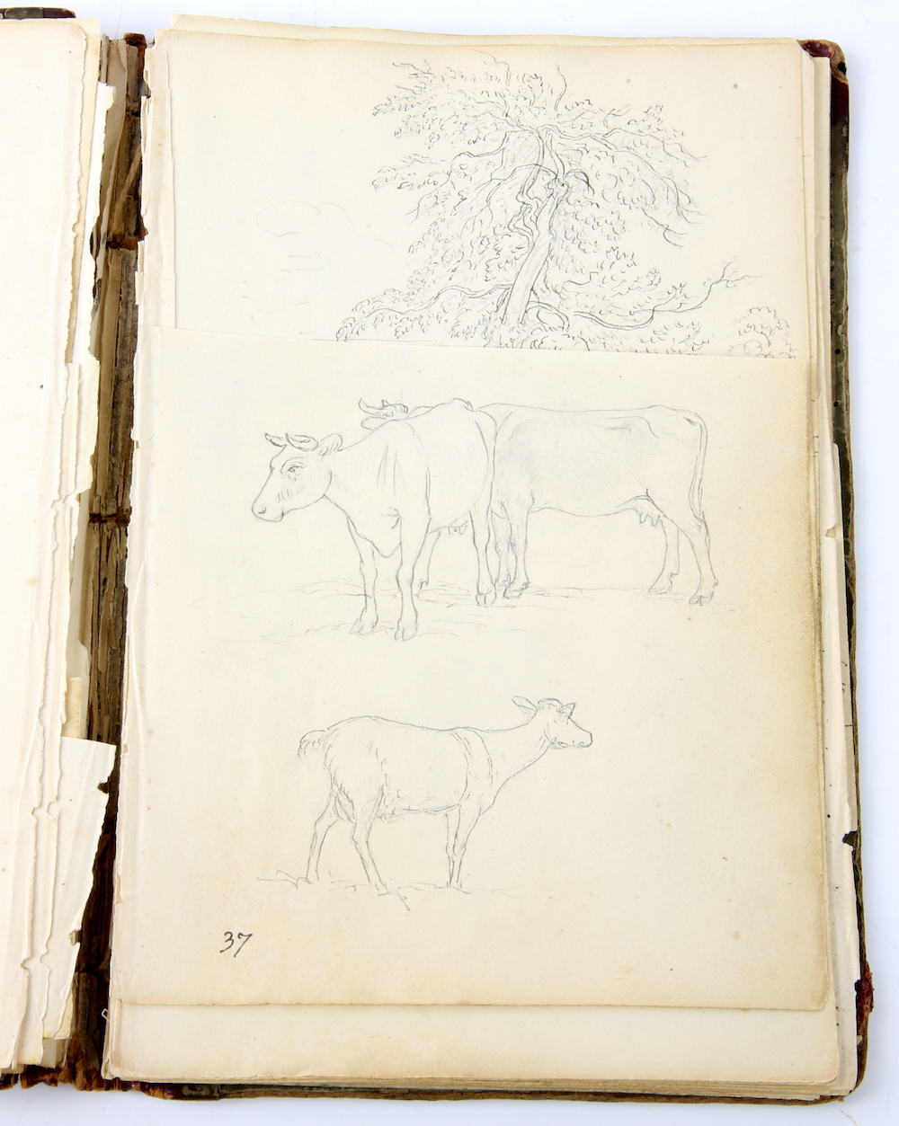 A sketchbook formerly belonging to British artist John Glover