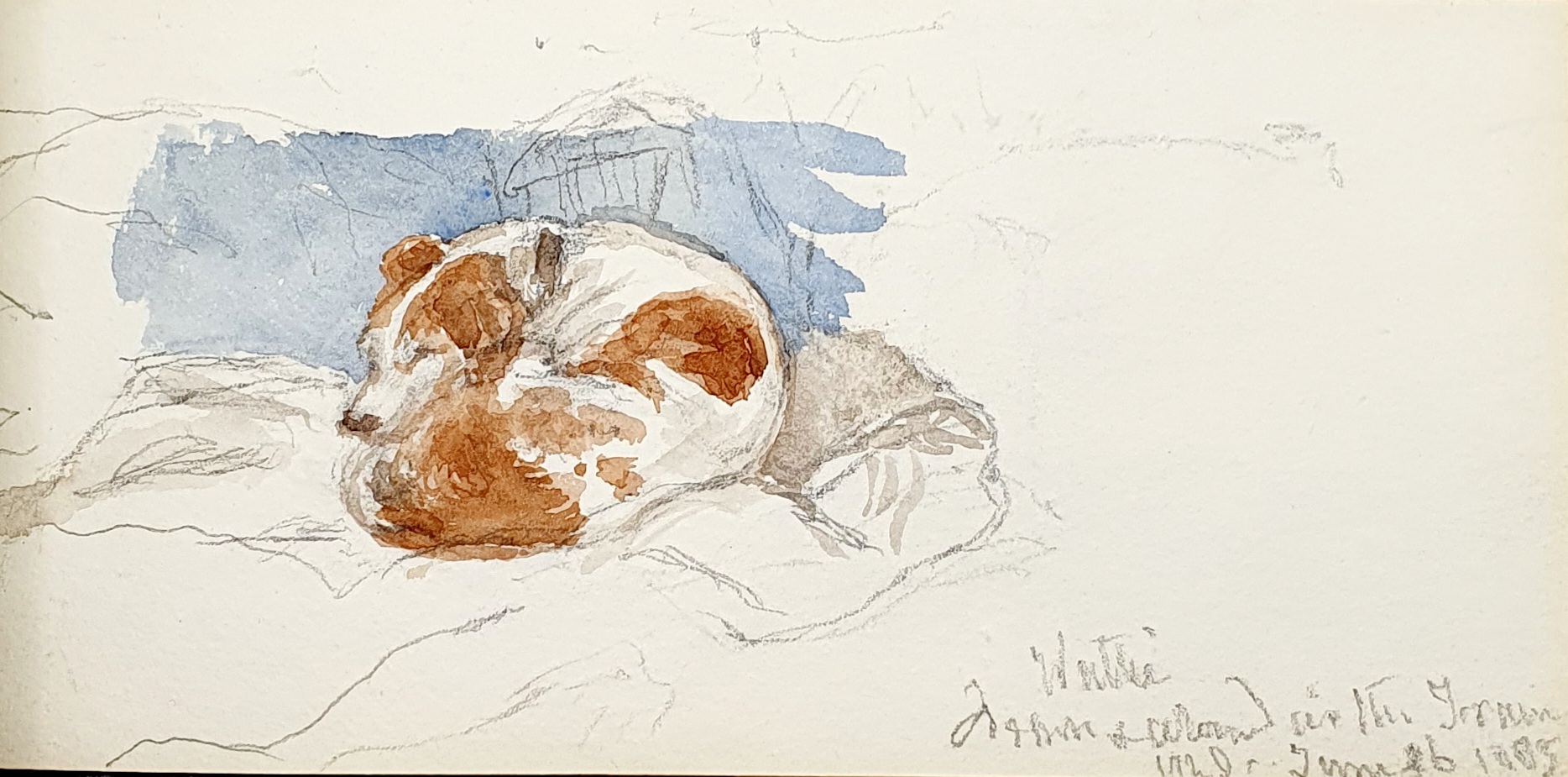 A watercolour by Queen Victoria of her dog Walter