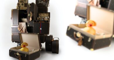Various examples of Louis Vuitton luggage cases and trunks
