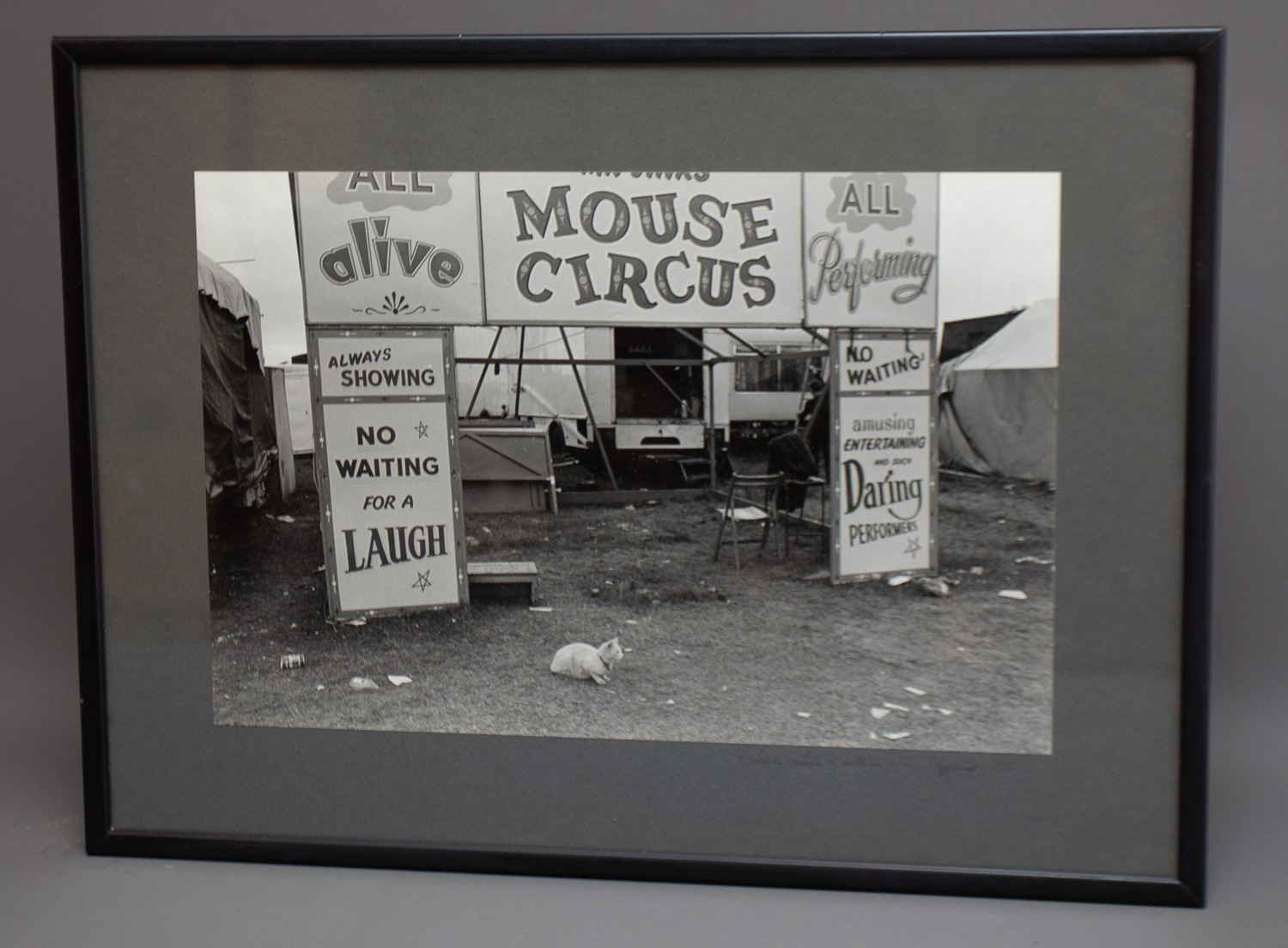 Sirkka-Liisa Konttinen - Mouse Circus, Hoppings