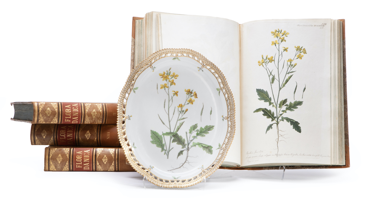 Complete Flora Danica with 3240 engravings, Florae Danicae