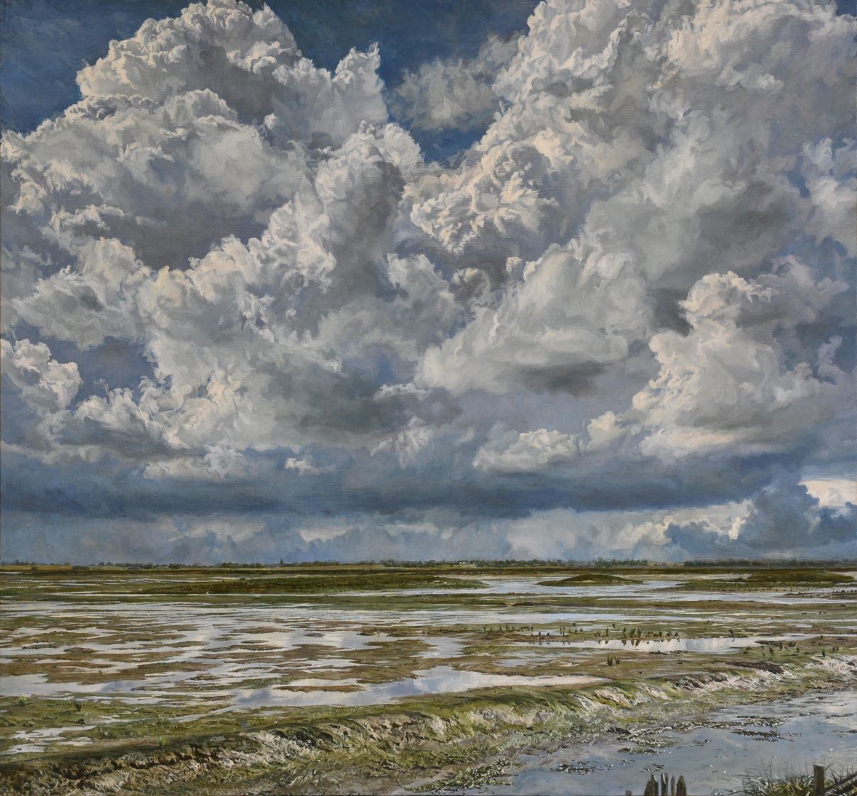 Hazelwood Marshes by Sarah Spencer