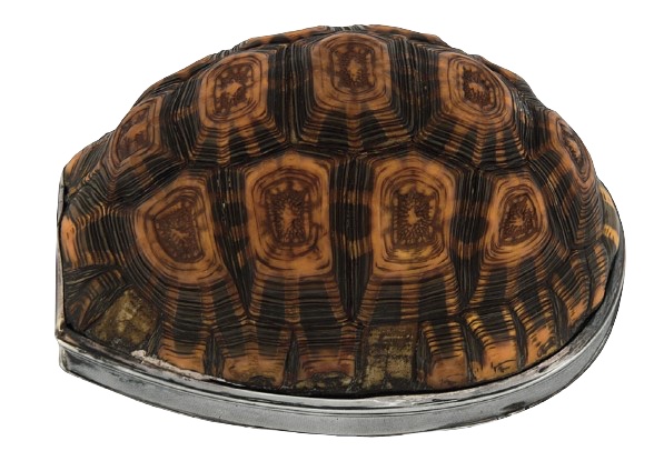 A George III silver tortoiseshell carapace table snuff box, London, 1803, Thomas Phipps & Edward Robinson, engraved with an armorial J. W. Bevan