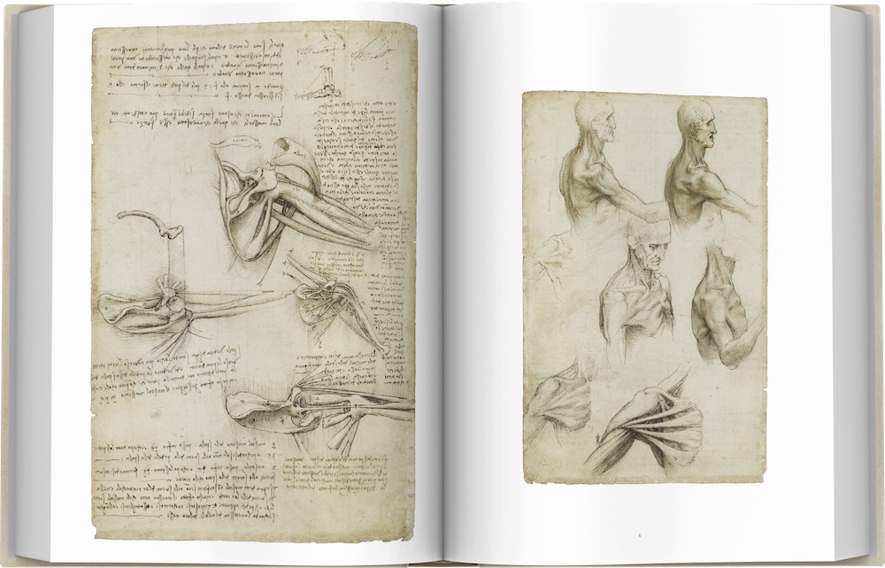 Leonardo Da Vinci: Atlas Anatomicus