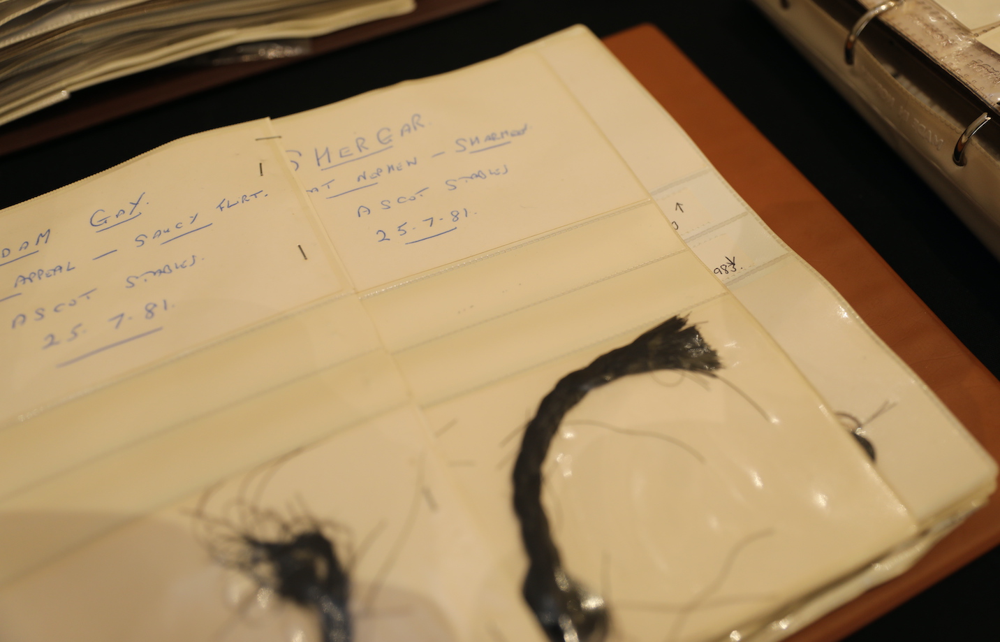 A clipping of hair from the mane of the race horse Shergar