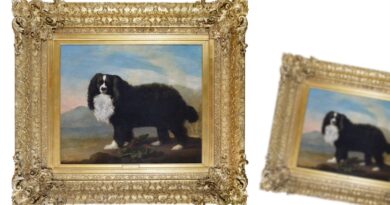 An oil portrait of a spaniel by George Stubbs