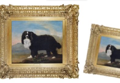 An oil portrait of a spaniel by George Stubbs