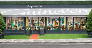 Guinevere Antiques shop sale at Sworders