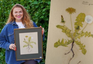 Beatrix Potter artwork smashes estimate