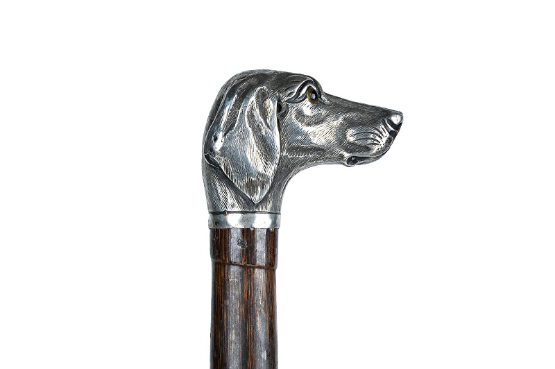 Antique dogs head walking cane